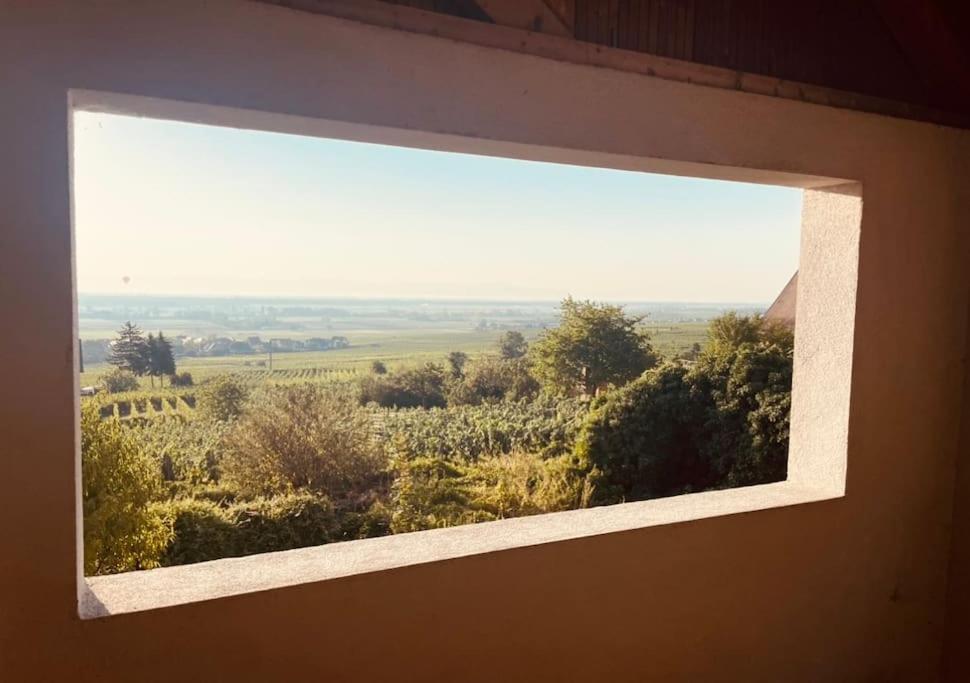 Gite Origin Gueberschwihr Exterior foto