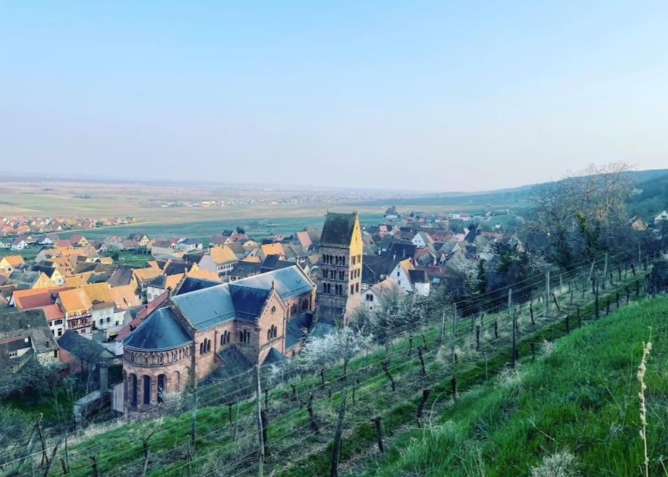 Gite Origin Gueberschwihr Exterior foto